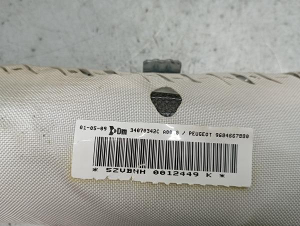 Airbag Rideau Guache PEUGEOT 3008 I (0U_) Imagem-1