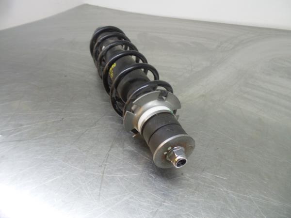 Ammortizzatore Posteriore Sinistro RENAULT Twizy (MAM_) Imagem-2