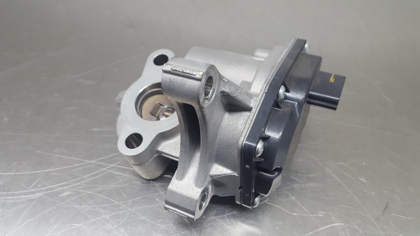 Válvula EGR RENAULT Trafic III Combi (JG_)