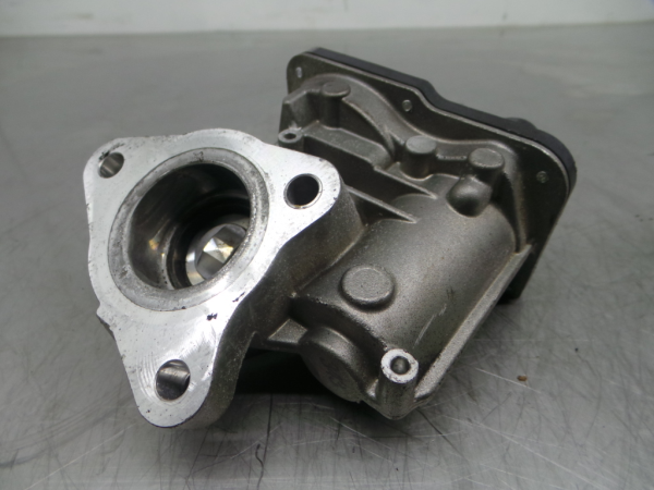 Valve EGR RENAULT Megane IV (B9A/M_)