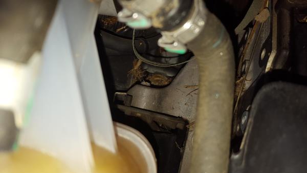 Support Moteur JEEP Compass (MK49)
