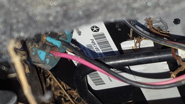 Servofreno JEEP Compass (MK49) Imagem-1