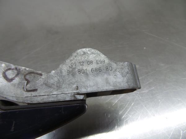 Maniglia porta anteriore sinistra PEUGEOT 308 (4A_, 4C_) Imagem-3