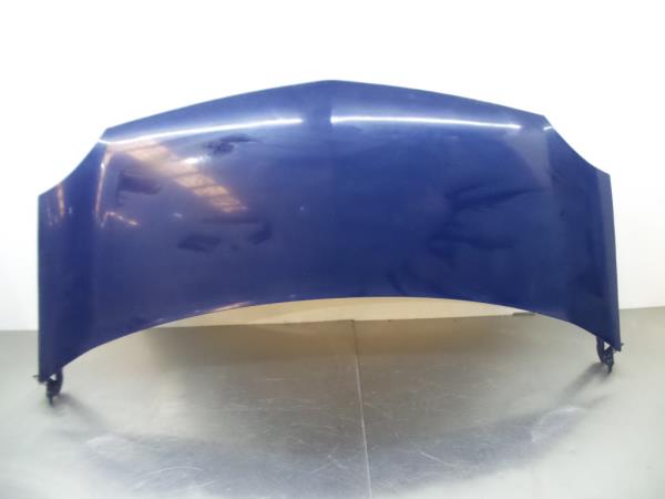 Capot RENAULT Kangoo (KW0/1_)