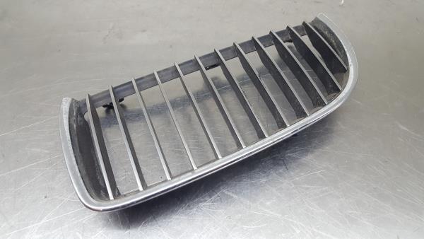 Griglia anteriore BMW 1 (E87)