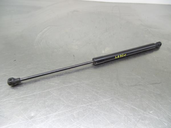 Trunk Shock Absorber DACIA Sandero II (5S_)
