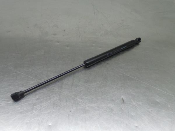 Amortecedor do capot RENAULT Megane IV (B9A/M_)