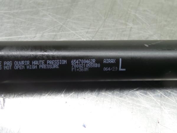 Amortecedor do capot RENAULT Megane IV (B9A/M_) Imagem-2