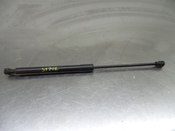 Amortecedor do capot RENAULT Megane IV (B9A/M_)