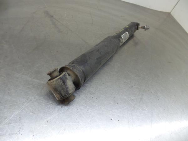 Ammortizzatore Posteriore Destro RENAULT Megane IV (B9A/M_) Imagem-2