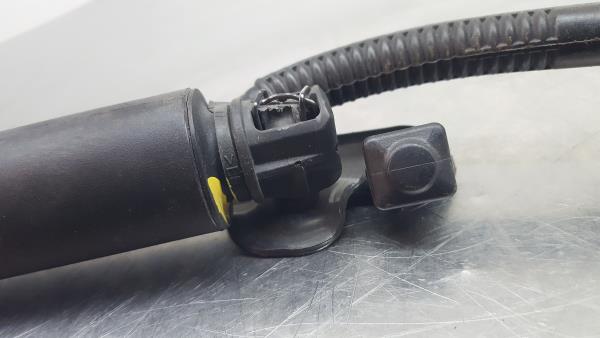 Amortecedor da mala BMW 3 Touring (F31) Imagem-5