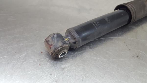 Ammortizzatore Posteriore Destro FORD Ka (RU8) Imagem-1