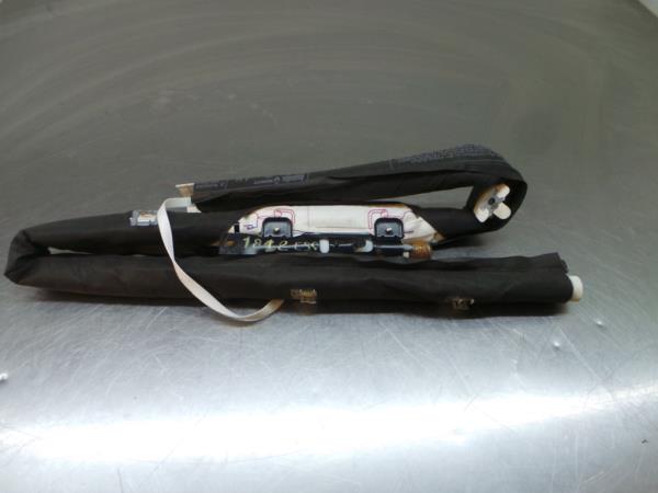 Airbag Cortinha Izquierdo RENAULT Megane III (BZ0_)