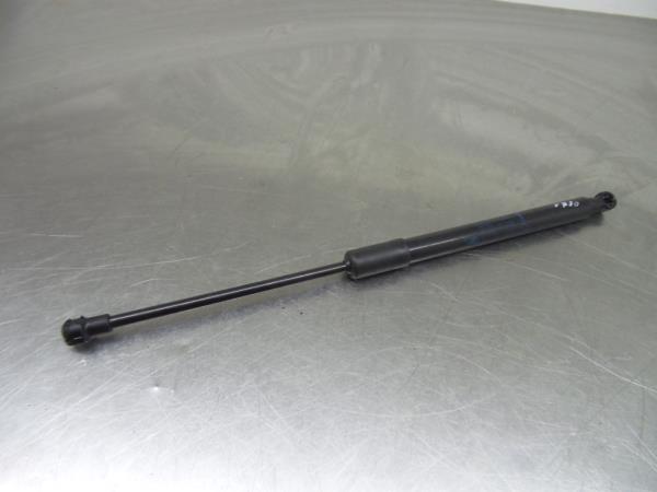 Trunk Shock Absorber DACIA Duster (HM_)