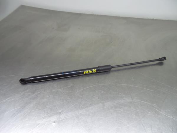 Amortecedor da mala RENAULT Clio V (BF_)