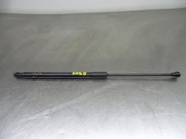 Amortecedor da mala RENAULT Clio V (BF_)