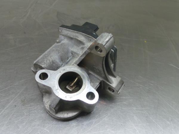 Válvula EGR NISSAN Qashqai II (J11) Imagem-1
