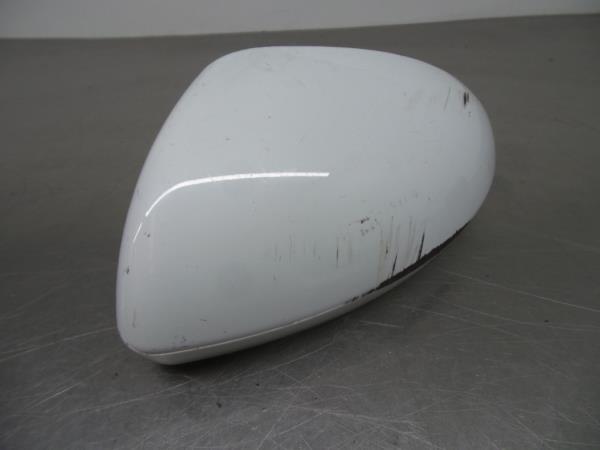 Copertura retrovisore sinistro RENAULT Megane IV (B9A/M_)