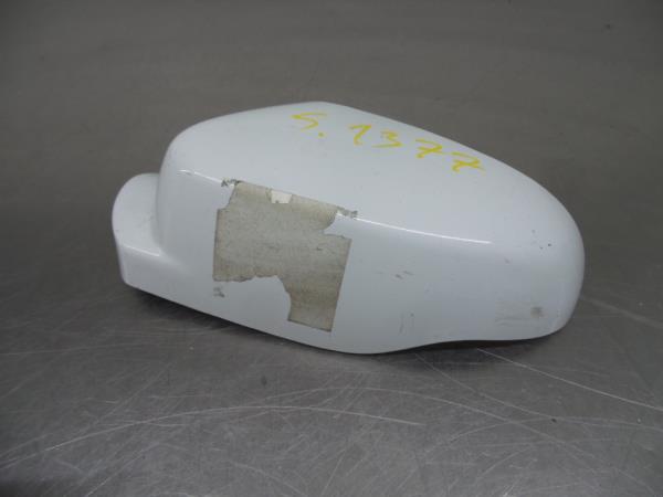 Copertura retrovisore sinistro RENAULT Clio III (BR0/1, CR0/1)