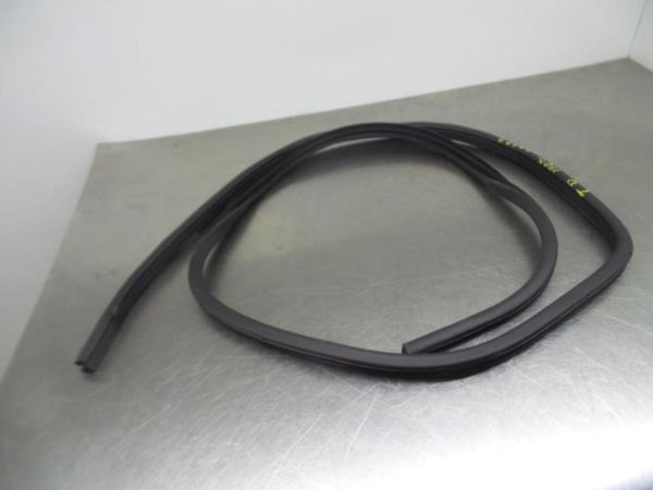 Rivestimento porta posteriore destra NISSAN Leaf EV (ZE0)