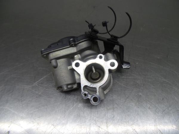 Válvula EGR RENAULT Megane IV (B9A/M_) Imagem-1
