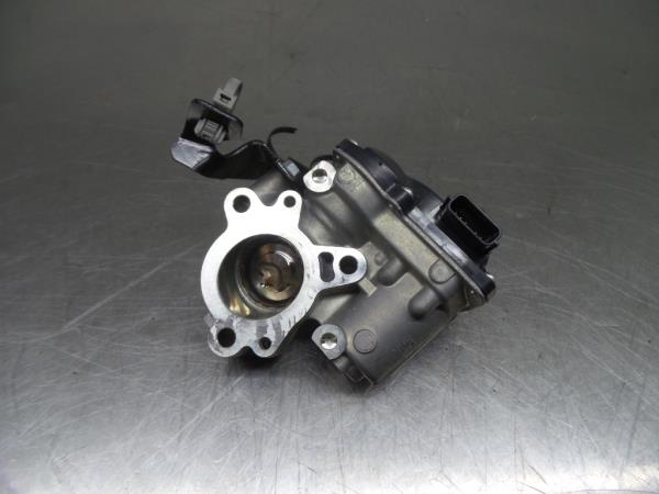 Válvula EGR RENAULT Megane IV (B9A/M_)