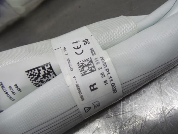 Airbag Rideau Droite RENAULT Megane IV Grandtour (K9A/M_) Imagem-1