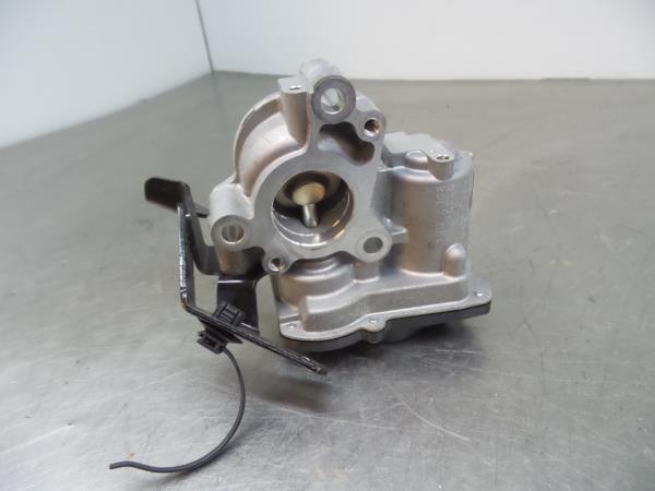 Válvula EGR RENAULT Clio V (BF_)