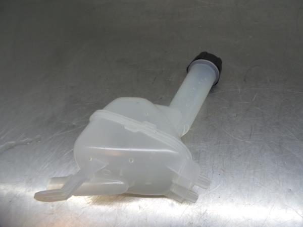 Vaschetta acqua radiatore RENAULT Megane IV Grandtour (K9A/M_)