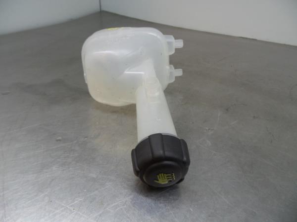 Depósito de expansión RENAULT Megane IV Grandtour (K9A/M_) Imagem-1