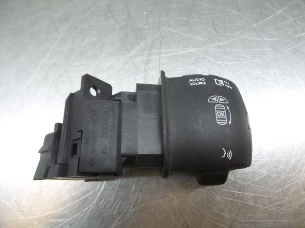 Leva della radio RENAULT Megane III (BZ0_)