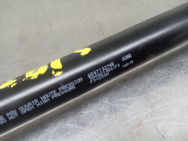 Amortecedor do capot DACIA Sandero II (5S_) Imagem-1