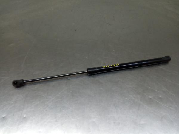 Amortecedor da mala RENAULT Captur (J5_)