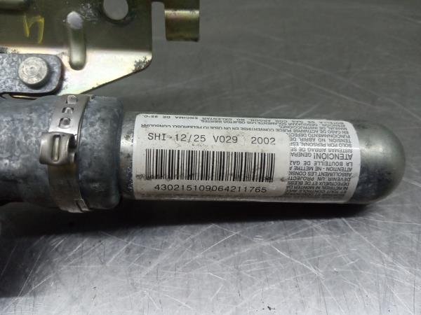 Airbag a Tendina Sinistra BMW X5 (E53) Imagem-3