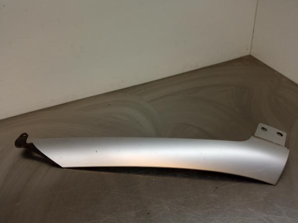 Modanatura parabrezza sinistra RENAULT Megane CC (EZ0/1_)