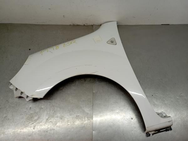 Parafango sinistro RENAULT Kangoo Express (FW0/1_) Imagem-1