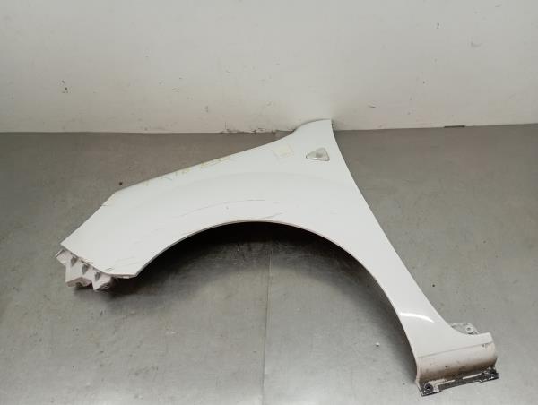 Parafango sinistro RENAULT Kangoo Express (FW0/1_)