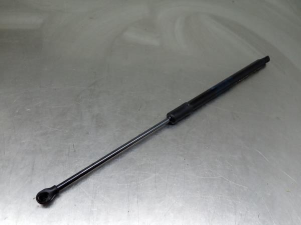 Amortecedor da mala RENAULT Clio V (BF_)