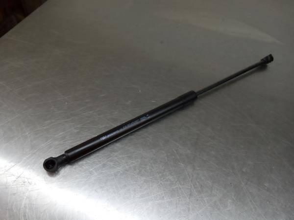 Amortiguador Maletero RENAULT Captur II