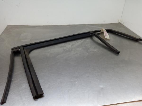 Calha do Vidro de Porta RENAULT Megane IV Grandtour (K9A/M_)