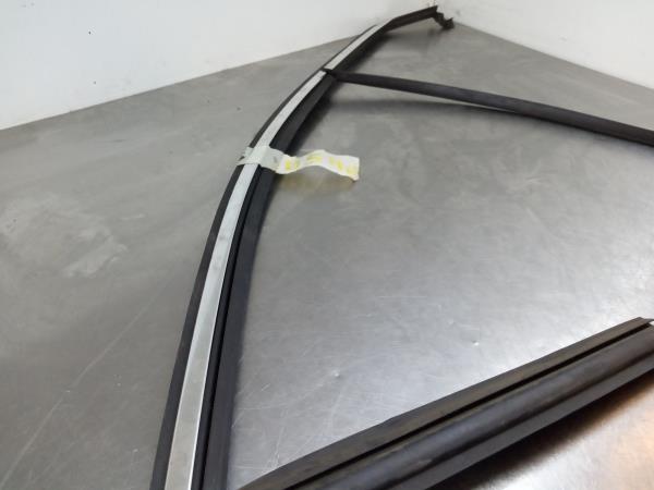 Calha do Vidro de Porta CITROËN DS4 (NX_) Imagem-1