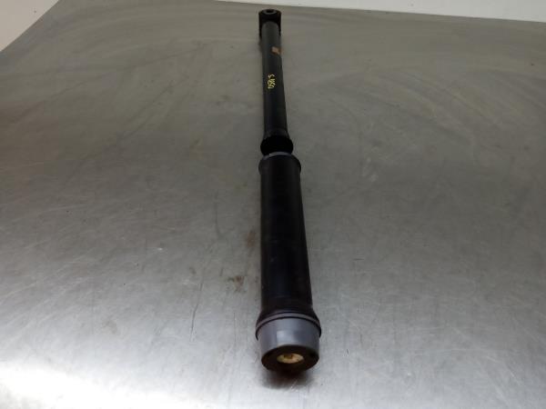 Ammortizzatore Posteriore Sinistro RENAULT Captur II Imagem-1