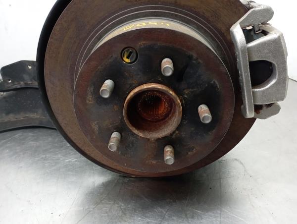 Fusello posteriore sinistro NISSAN Juke (F15)