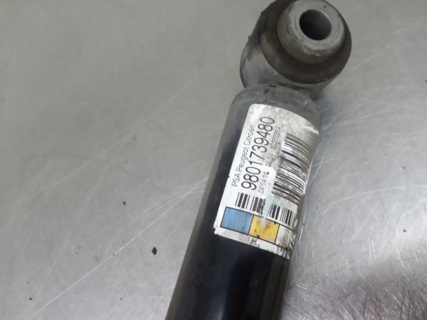 Ammortizzatore Posteriore Destro CITROËN C3 II (SC_) Imagem-3