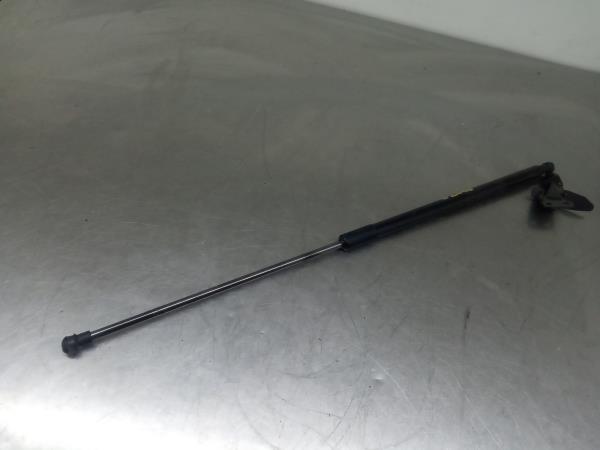 Amortecedor da mala NISSAN Juke (F15)