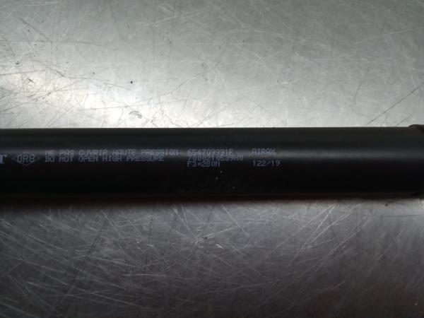 Amortecedor do capot RENAULT Captur (J5_) Imagem-1