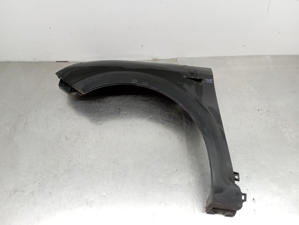 Parafango sinistro RENAULT Scénic II (JM0/1_)