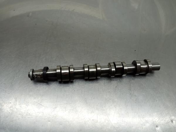 Árvore de cames / veio de excêntricos AUDI A4 (8EC, B7)