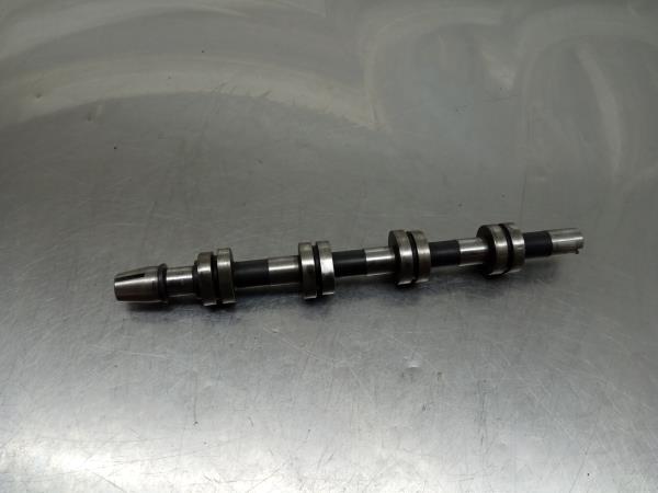 Árvore de cames / veio de excêntricos AUDI A4 (8EC, B7)