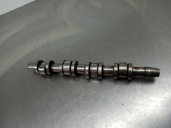 Árvore de cames / veio de excêntricos AUDI A4 (8EC, B7)
